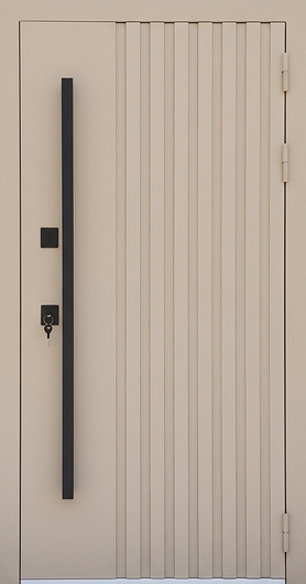 Входная дверь с металлорейками, длинной ручкой и порошковой покраской (RAL 1001)