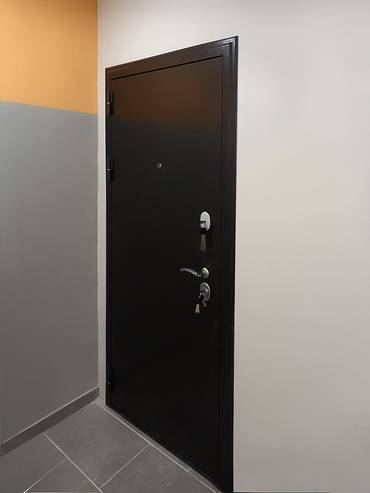 Порошковая дверь в квартиру
